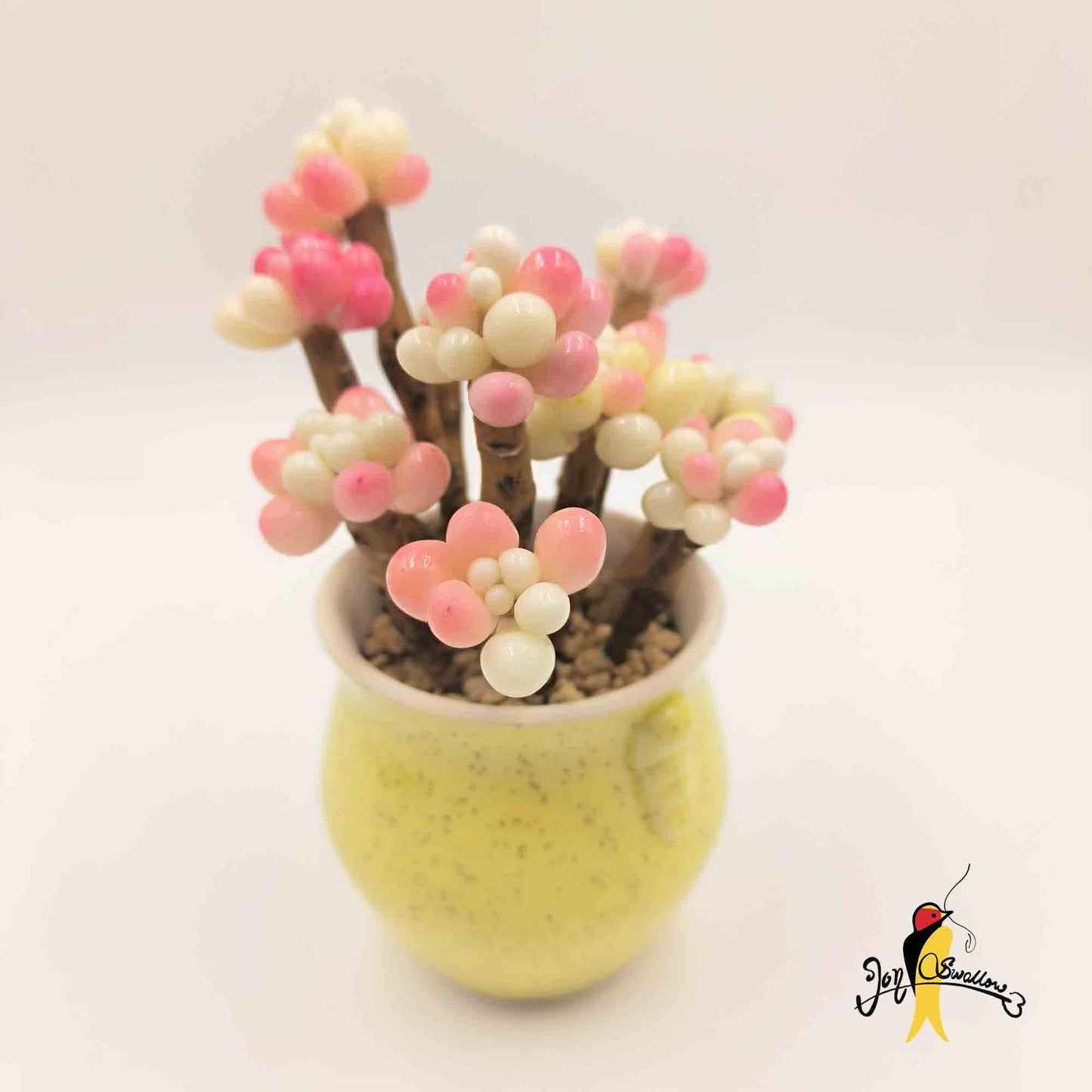 JoySwallow Handmade Clay Caviar Succulent Planter, Artisan Clay Succulent Planters, Handcrafted Delights for Home Decor, Unique Home Decor Accents