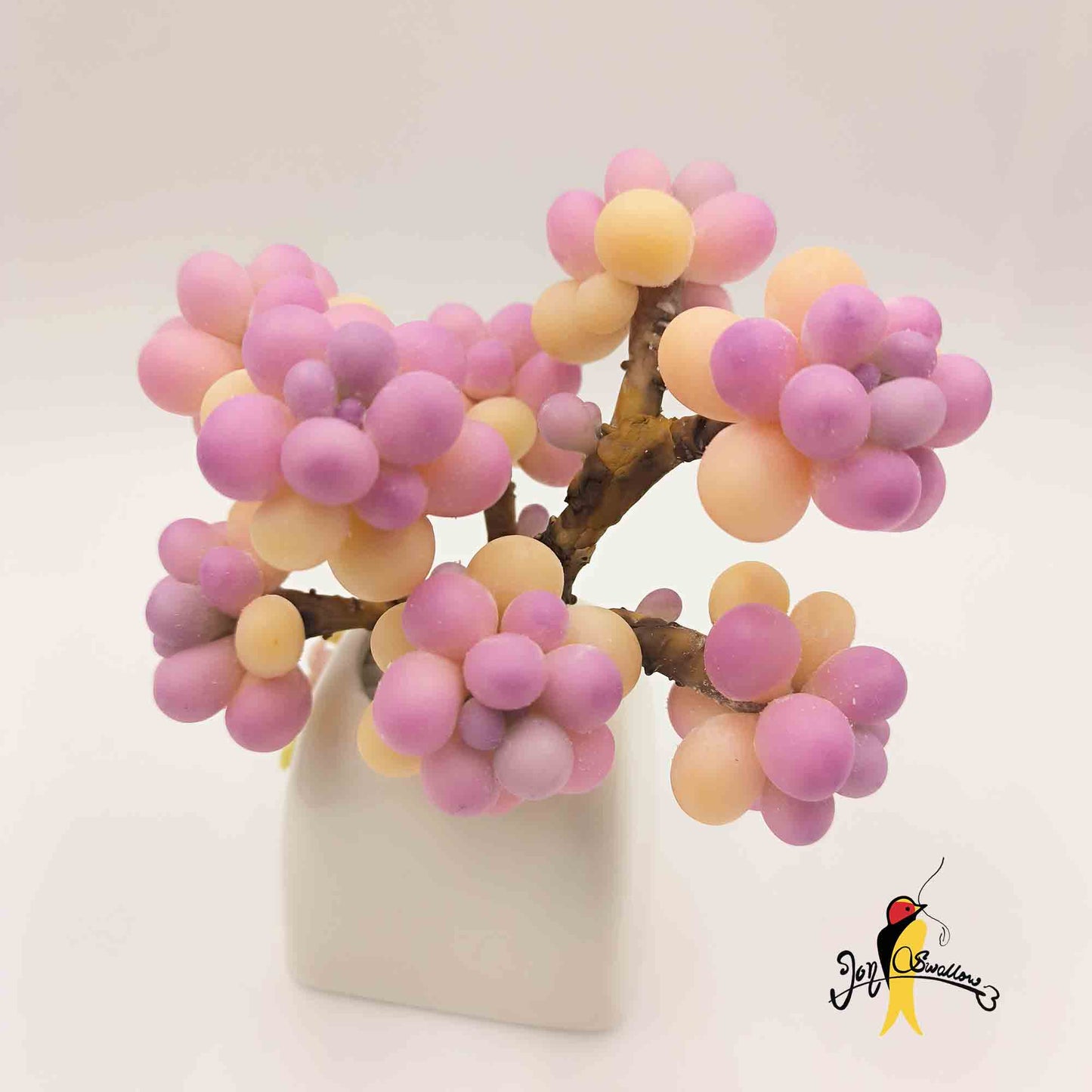 JoySwallow Handmade Peach Egg Succulent Planter, Artisan Clay Succulent Holiday Gifts, Handcrafted Delights for Home Decor, Unique Home Decor Accents