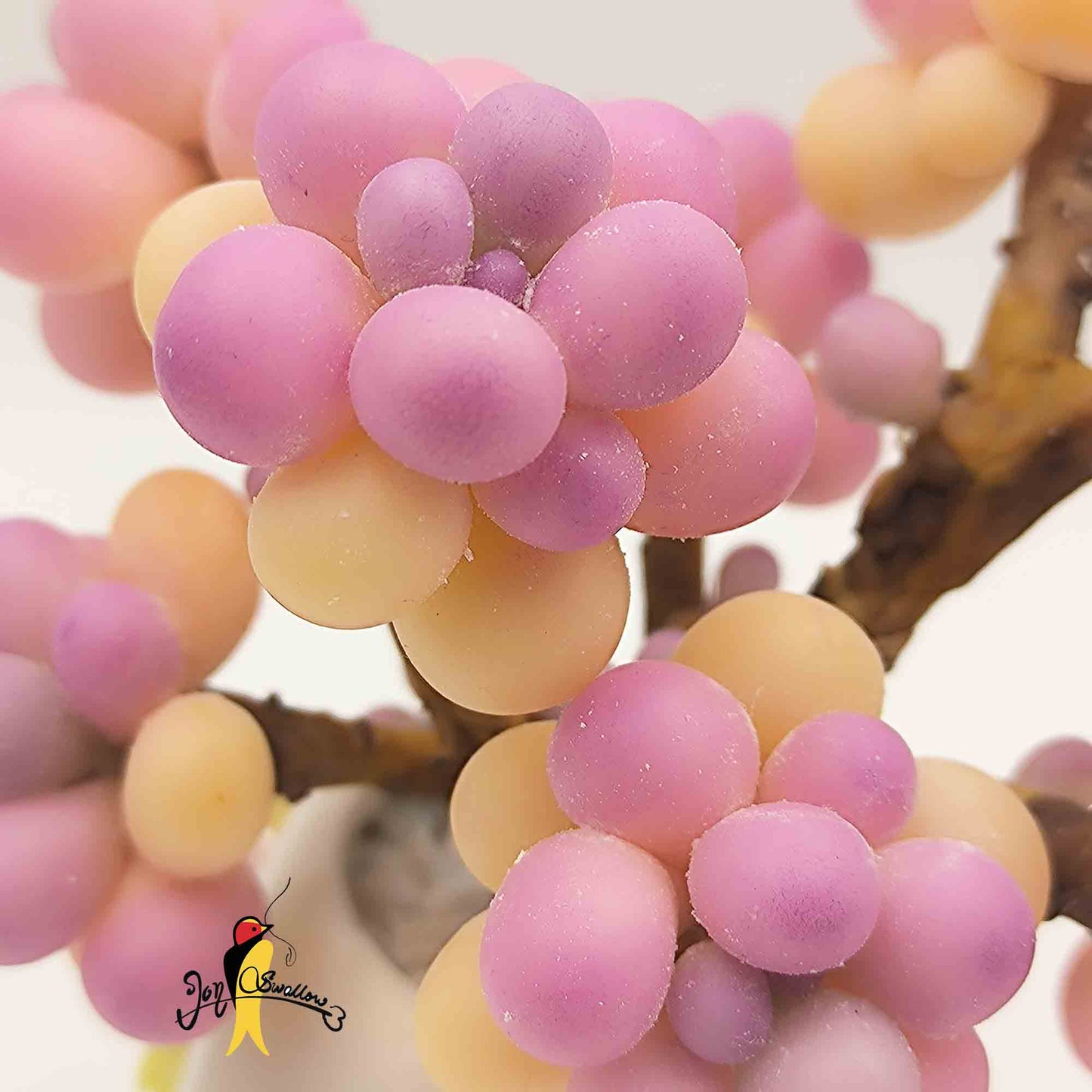 JoySwallow Handmade Peach Egg Succulent Planter, Artisan Clay Succulent Holiday Gifts, Handcrafted Delights for Home Decor, Unique Home Decor Accents