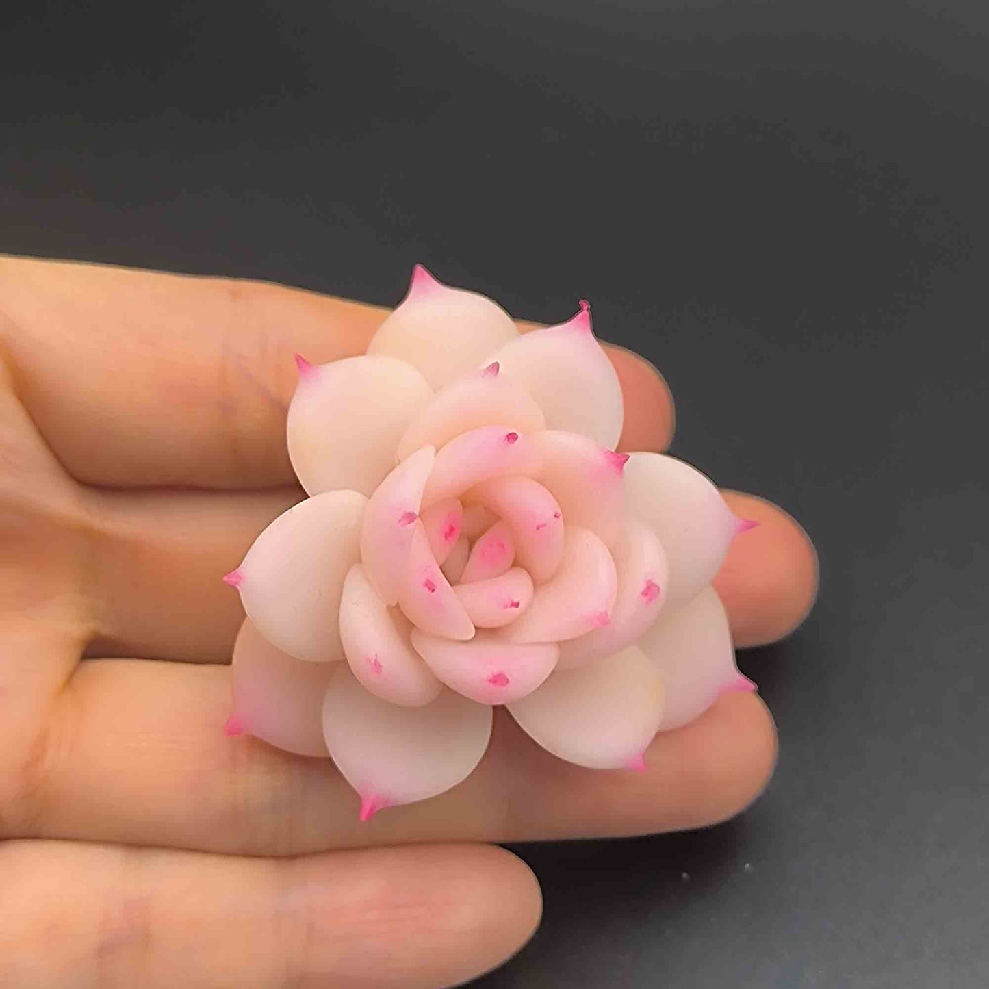 JoySwallow White Tea Succulent Brooch Clay Starter Kit, Polymer Crystal Resin Clay Kit, Clay Flower Accessories Tools
